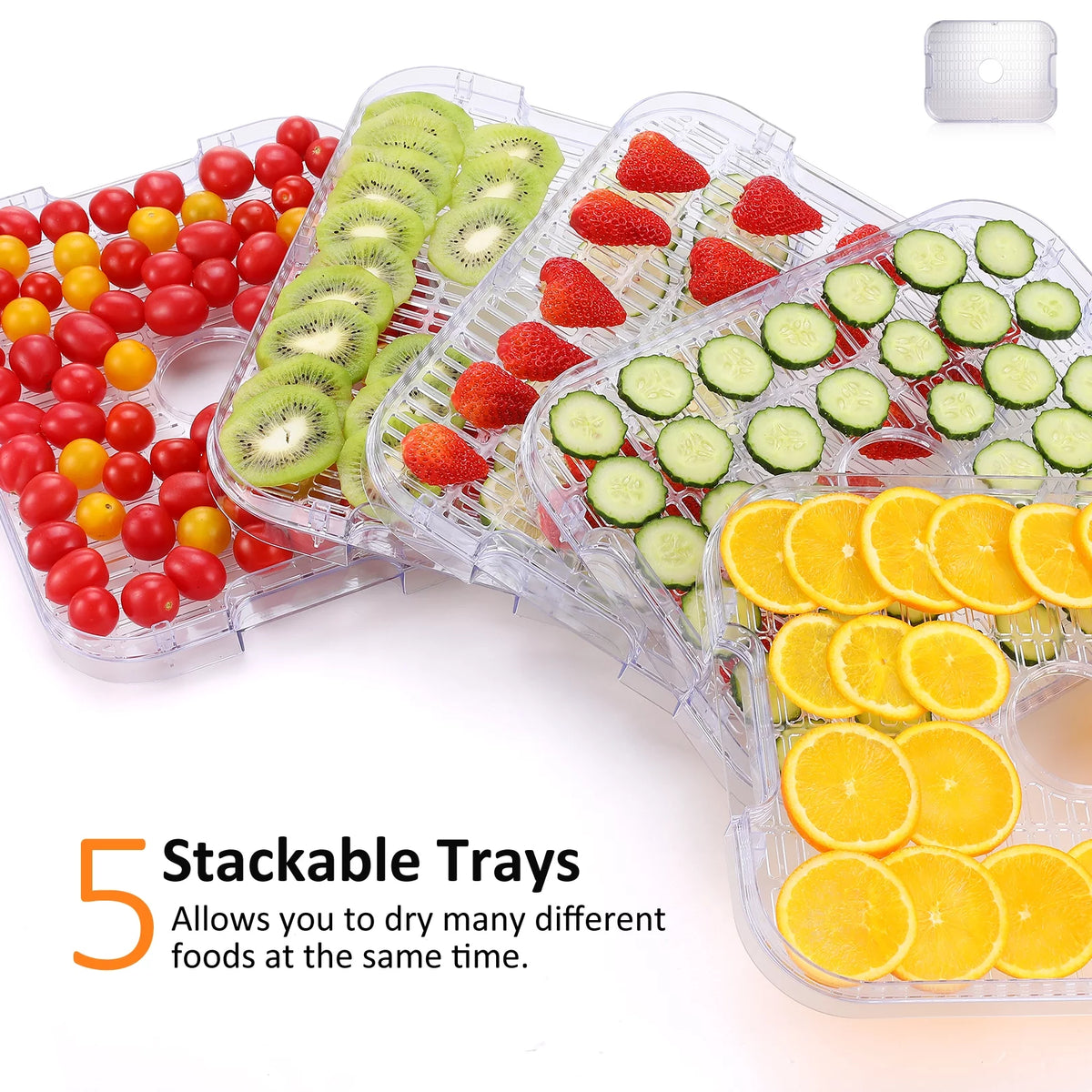 Electric Food Dehydrator, 250W, 5 Drying Trays, Stainless Steel, BPA Free W935