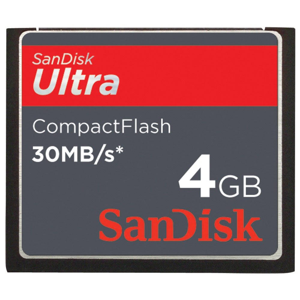 CompactFlash Card 4 GB F1390