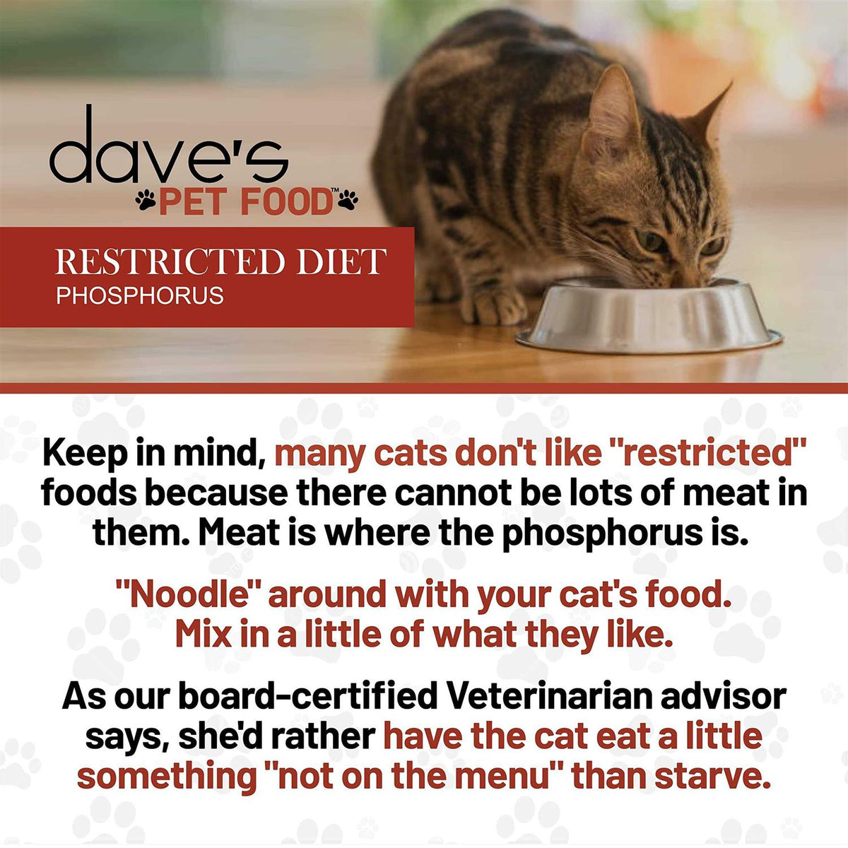 Restricted Phosphorus Diet Chicken Canned Cat Food J984994