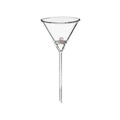 Filter Funnel 170 mL Z560658