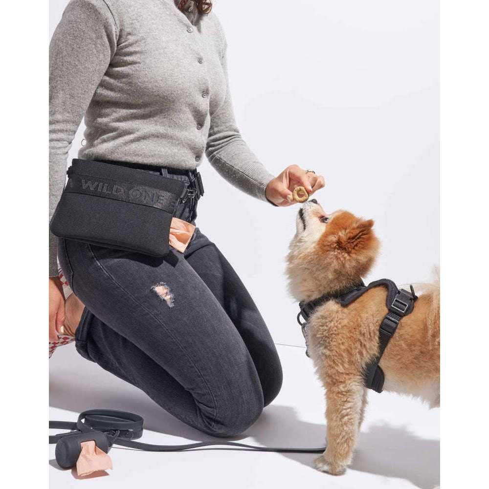 Cotton Dog Treat Pouch A823259