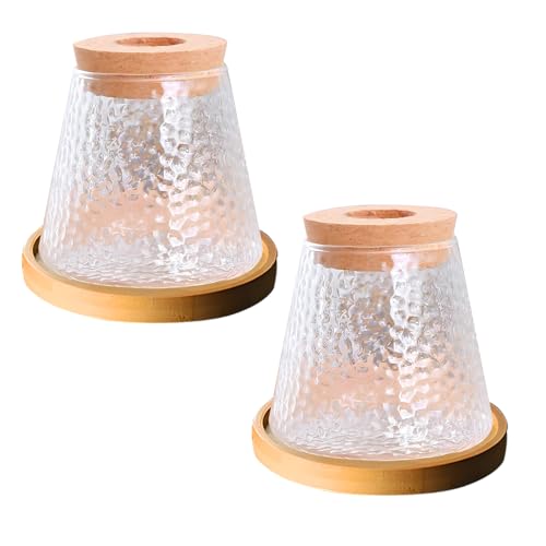2 Pcs Separated Desktop Plant Terrarium with Wood Lid, Glass Plants Propagation Station A3279