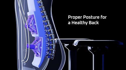 Black/White Ergonomic Gaming Chair Q358631