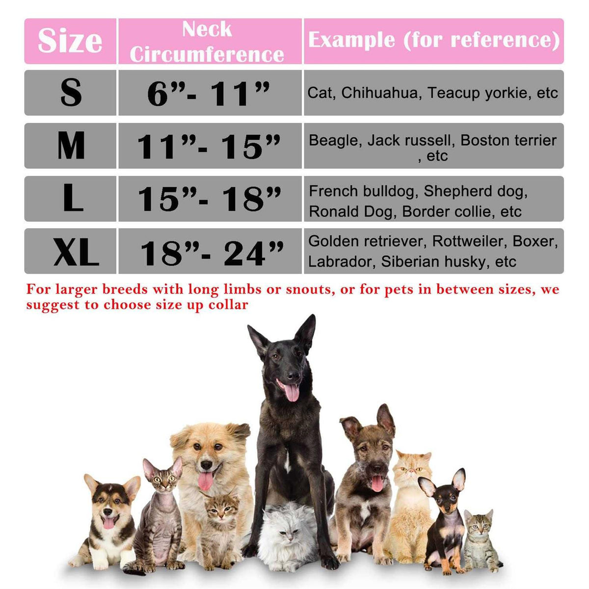 Inflatable Dog Collar X5031