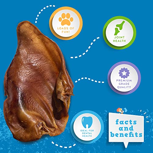 30 Pack Extra Thick Pig Ears Dog Treats J709