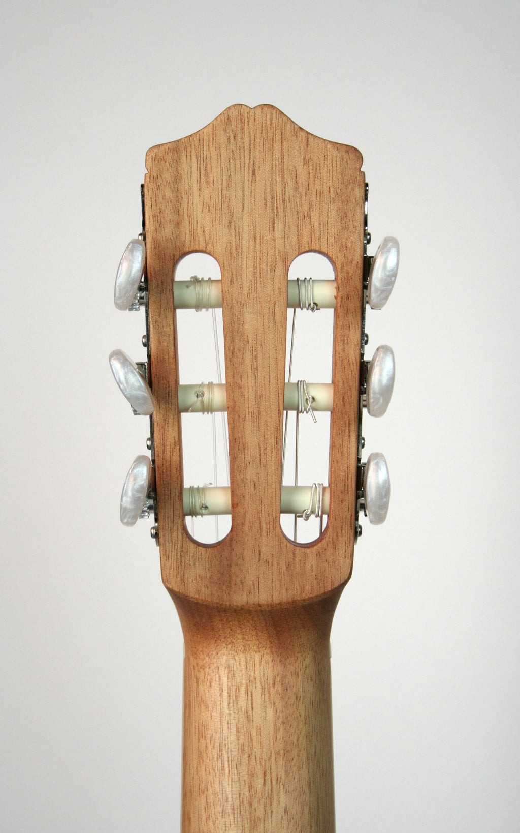 Coral Classical Guitar D58711