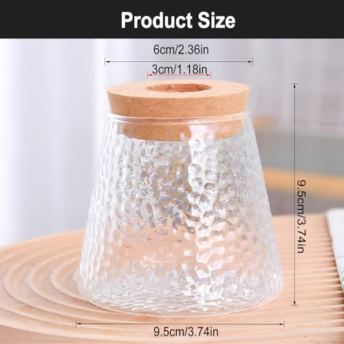 2 Pcs Separated Desktop Plant Terrarium with Wood Lid, Glass Plants Propagation Station A3279