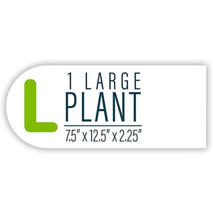 Aquarium Plant M485