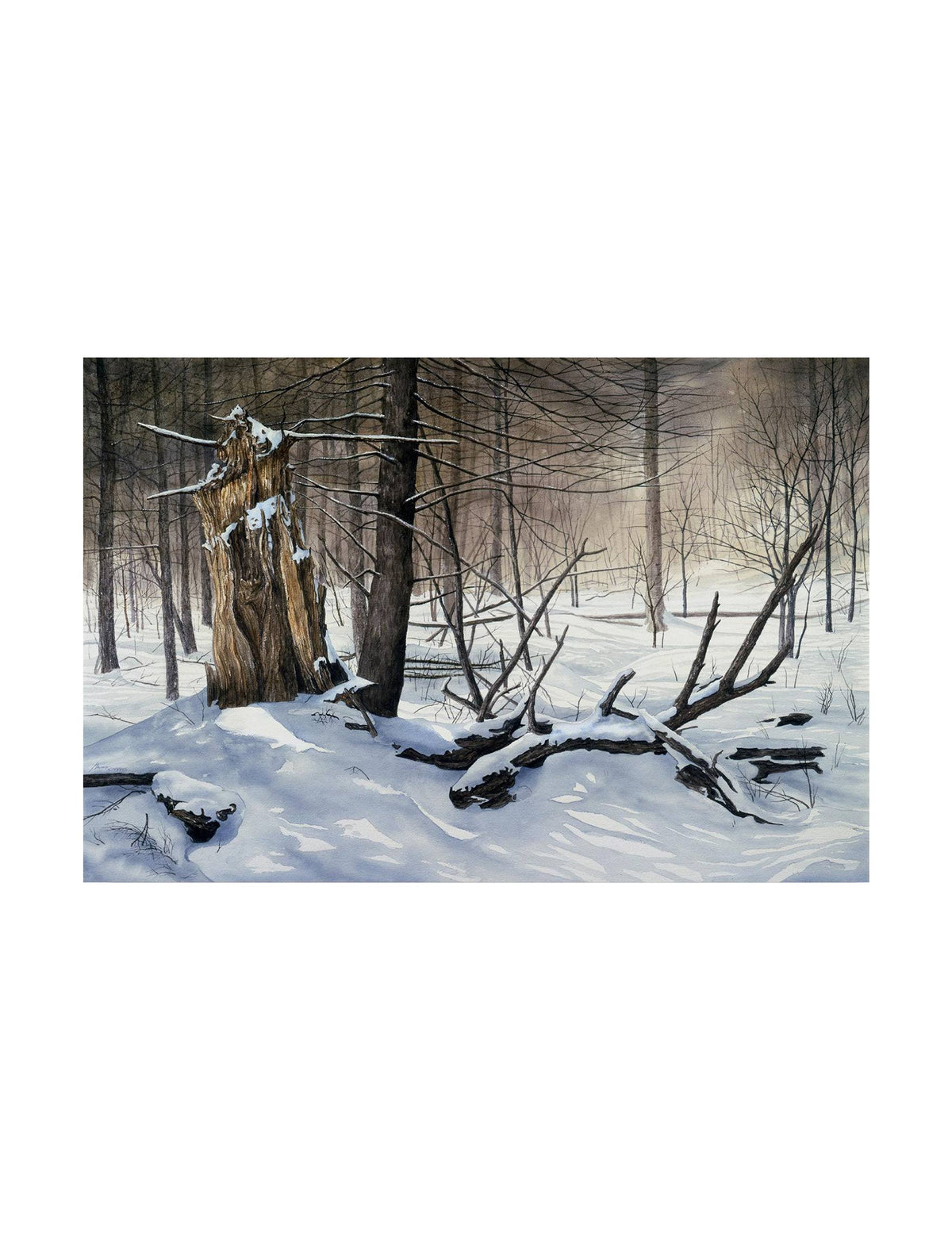 Canvas Art A36637