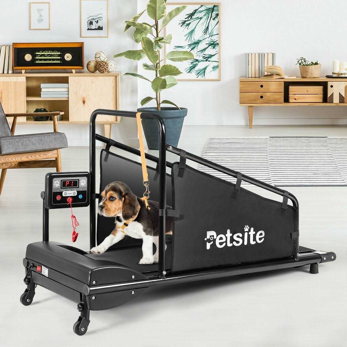 Indoor Pet Exercise Equipment with Remote Control J67633
