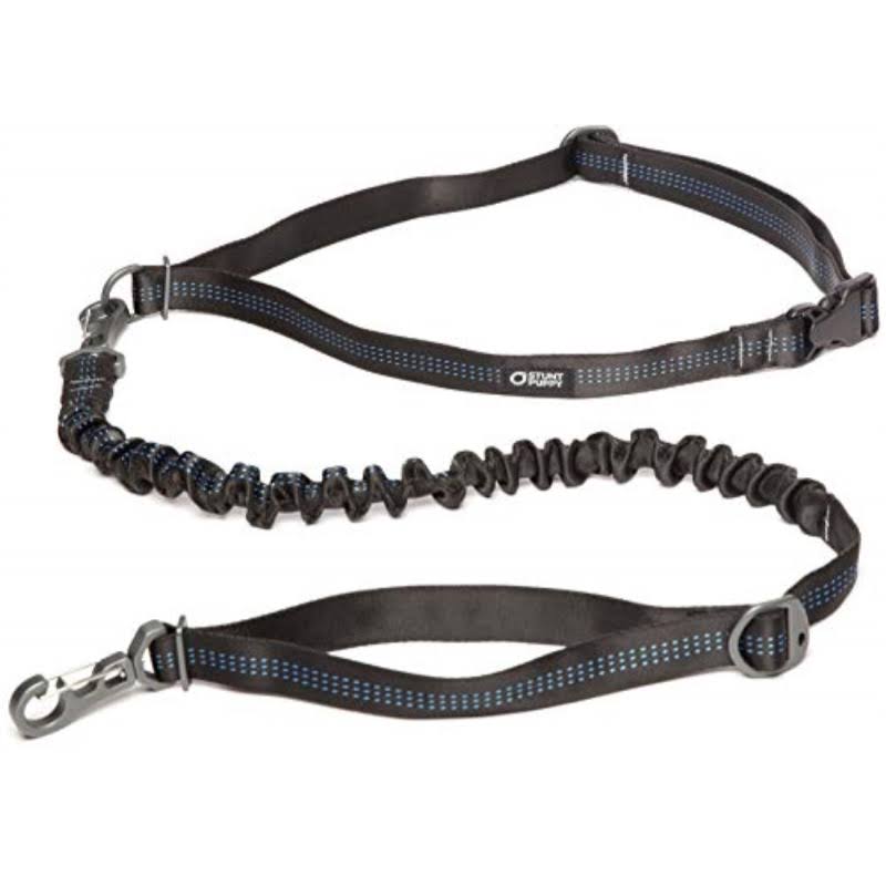 Hands-Free Dog Leash Black G43715