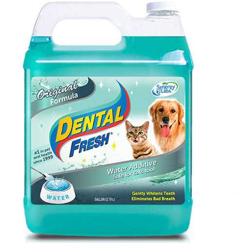 1 Gallon Dental Fresh Z48315
