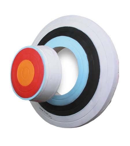 3-D Foam Archery Shooting Target X4596