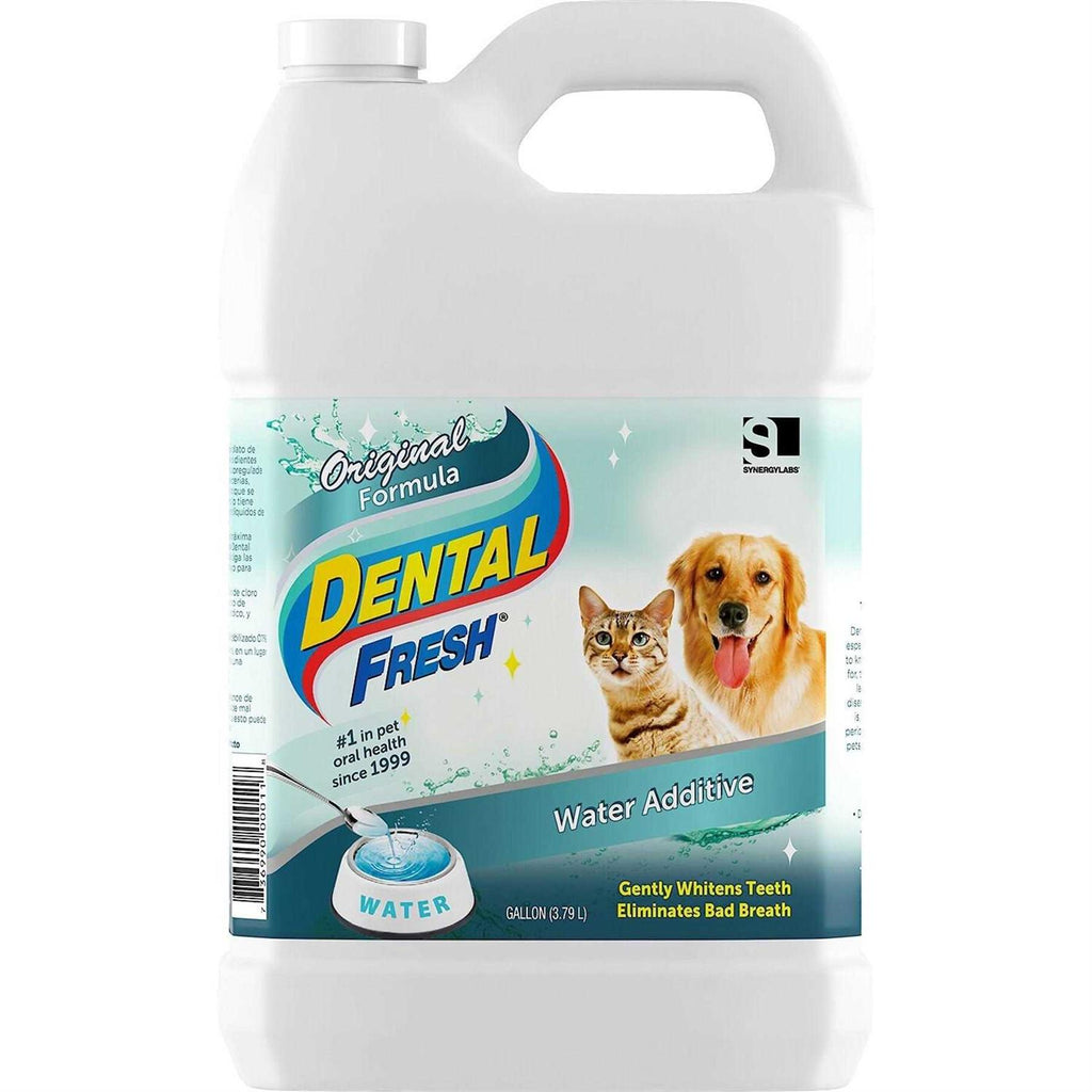 1 Gallon Dental Fresh Z48315