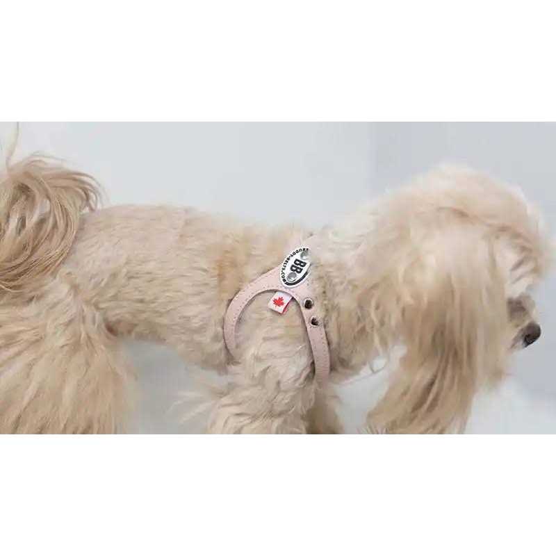 Pebble Grain Harness V990146
