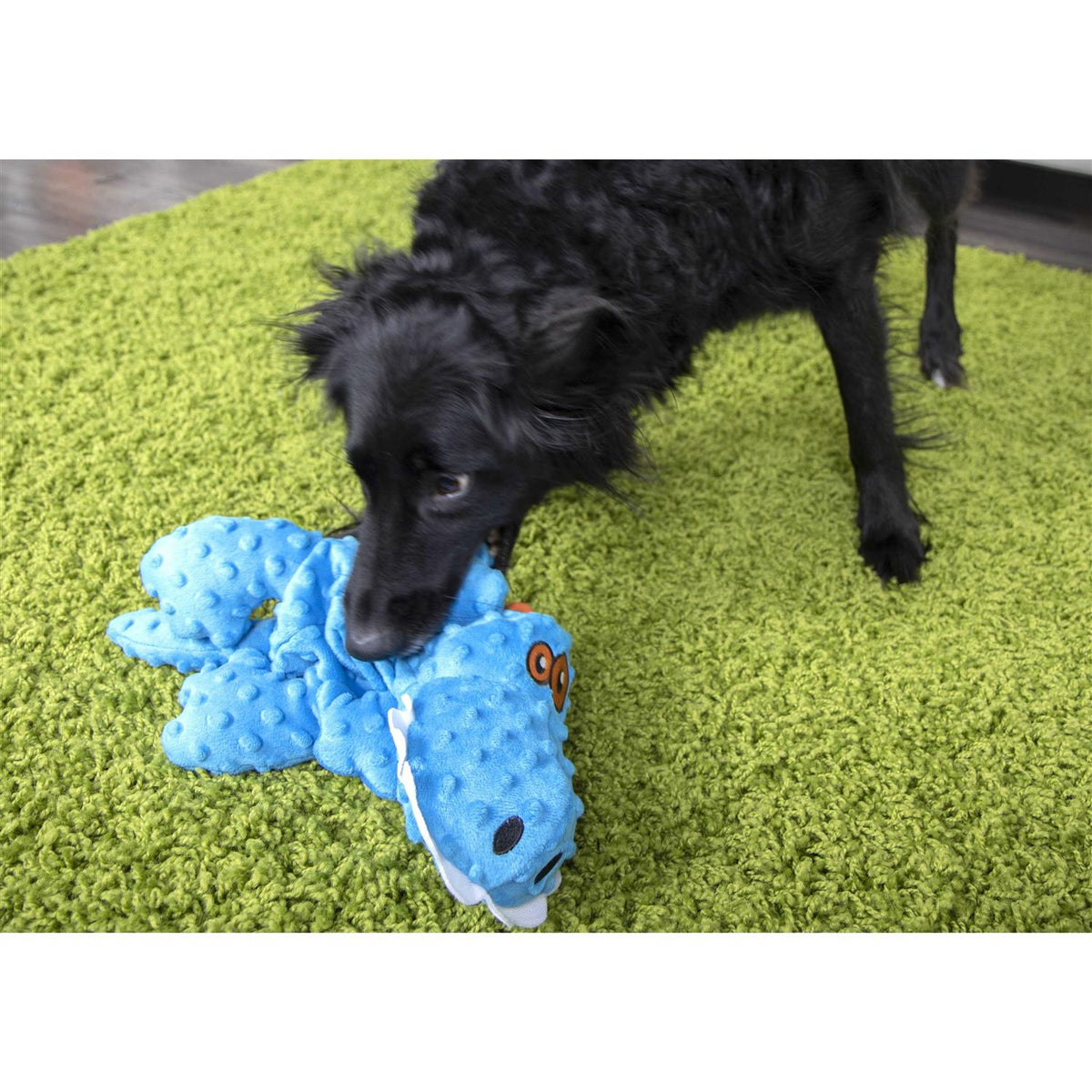 Dog Toy E87518