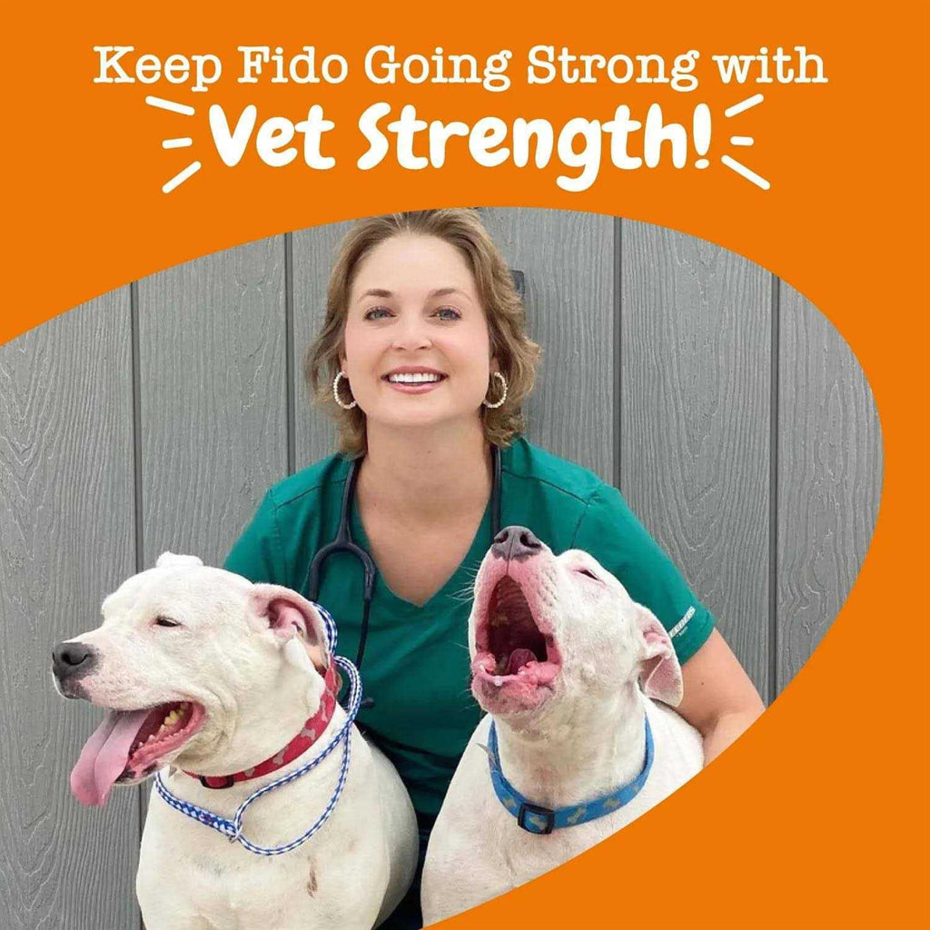 Probiotic Gut Health Bites for Dogs I838