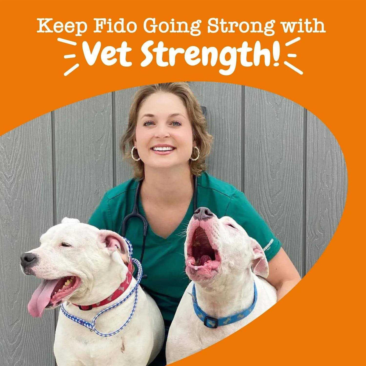 Probiotic Gut Health Bites for Dogs I838