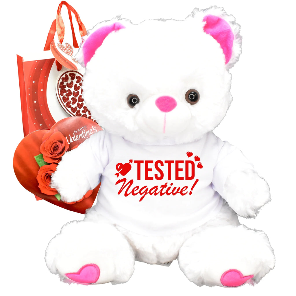 Teddy Bear Chocolates Gift Bag Plush T859