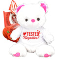 Teddy Bear Chocolates Gift Bag Plush T859
