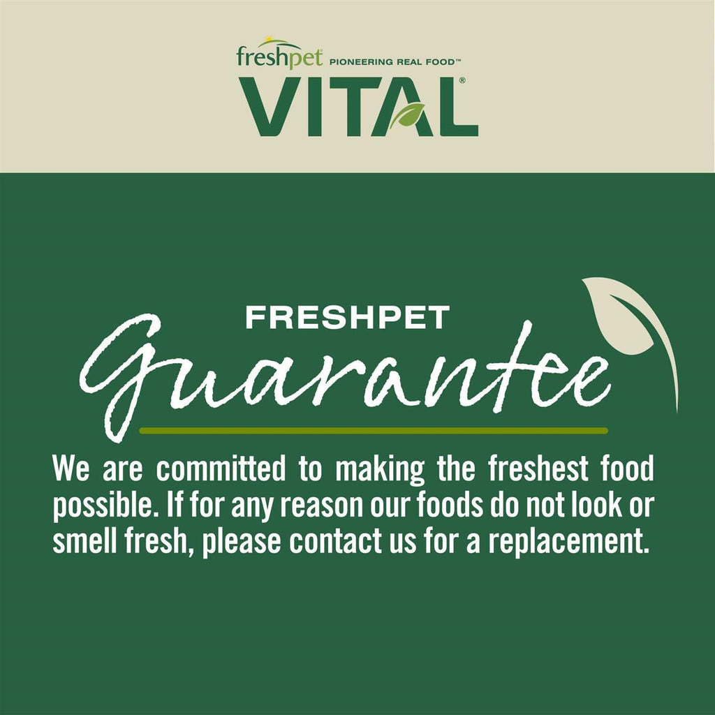 Grain Free Puppy Food Z841
