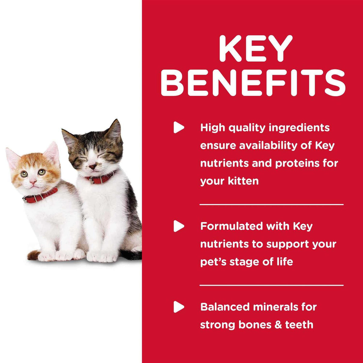 Kitten Wet Cat Food E664819