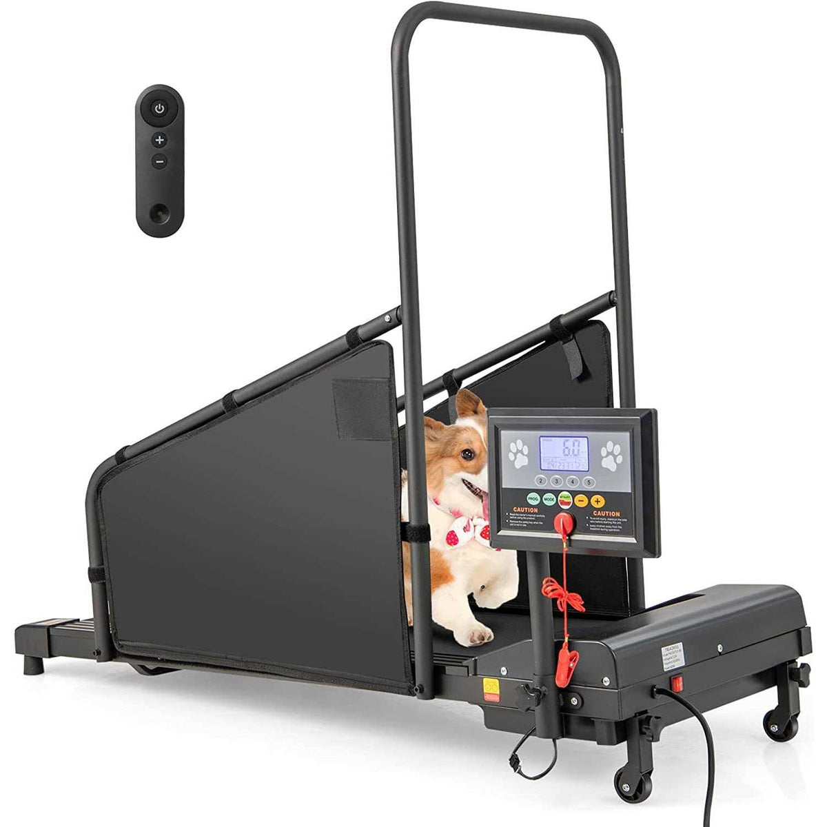 Indoor Pet Exercise Equipment with Remote Control J67633