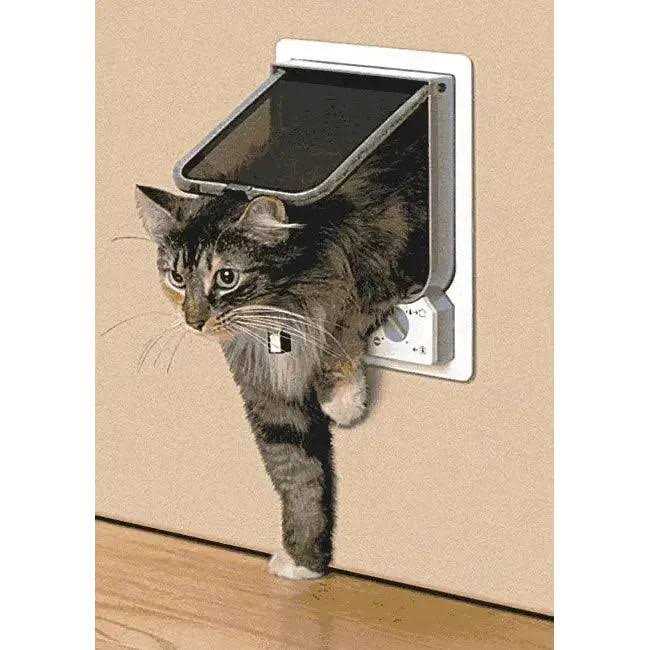 Electromagnetic Cat Flap H216
