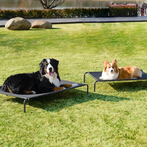 Elevated Dog Cot Bed with Washable Mesh K20130