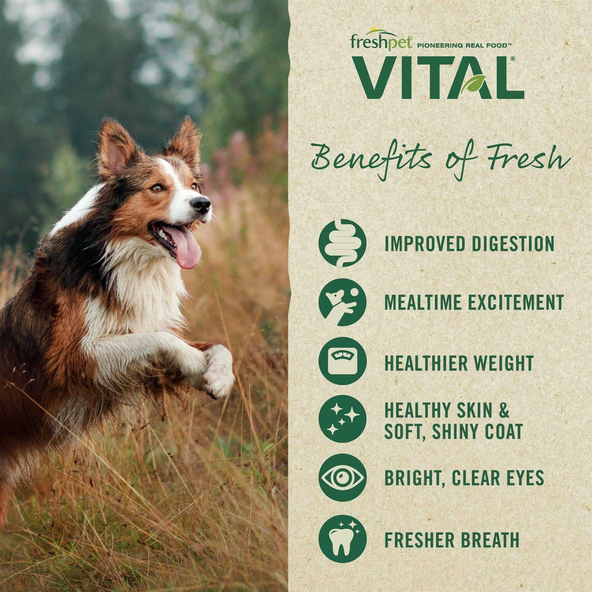 Grain Free Puppy Food Z841