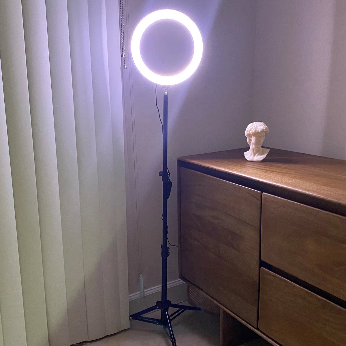 LED Ring Lamp and Vlogging Light Kit with Tripod Stand D3340