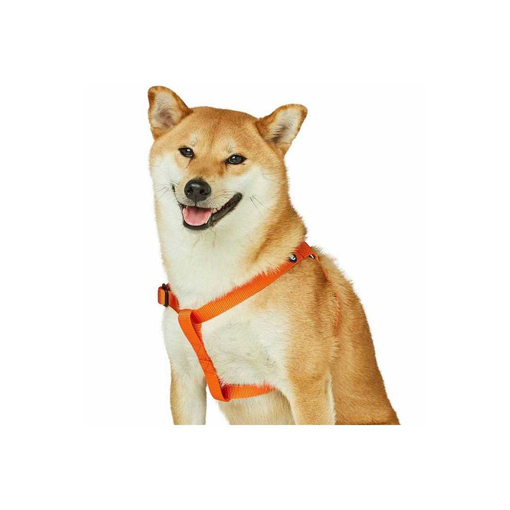 Solid Nylon Step-In Dog Harness S7606