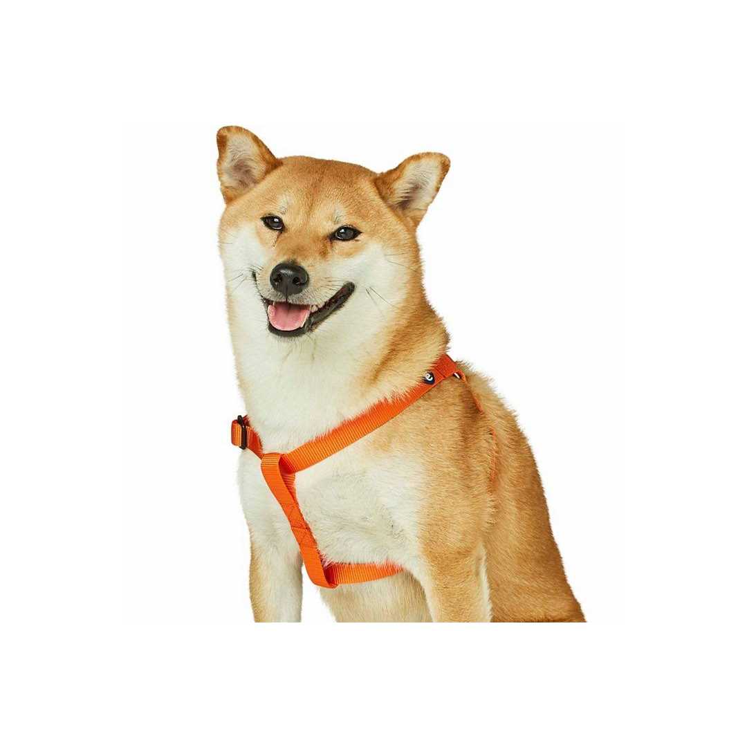 Solid Nylon Step-In Dog Harness S7606