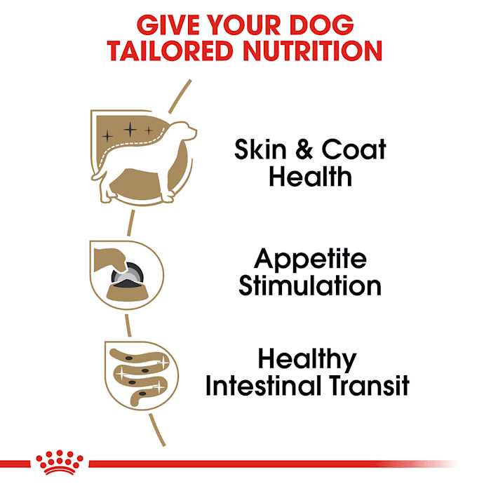 Adult Wet Dog Food A549560