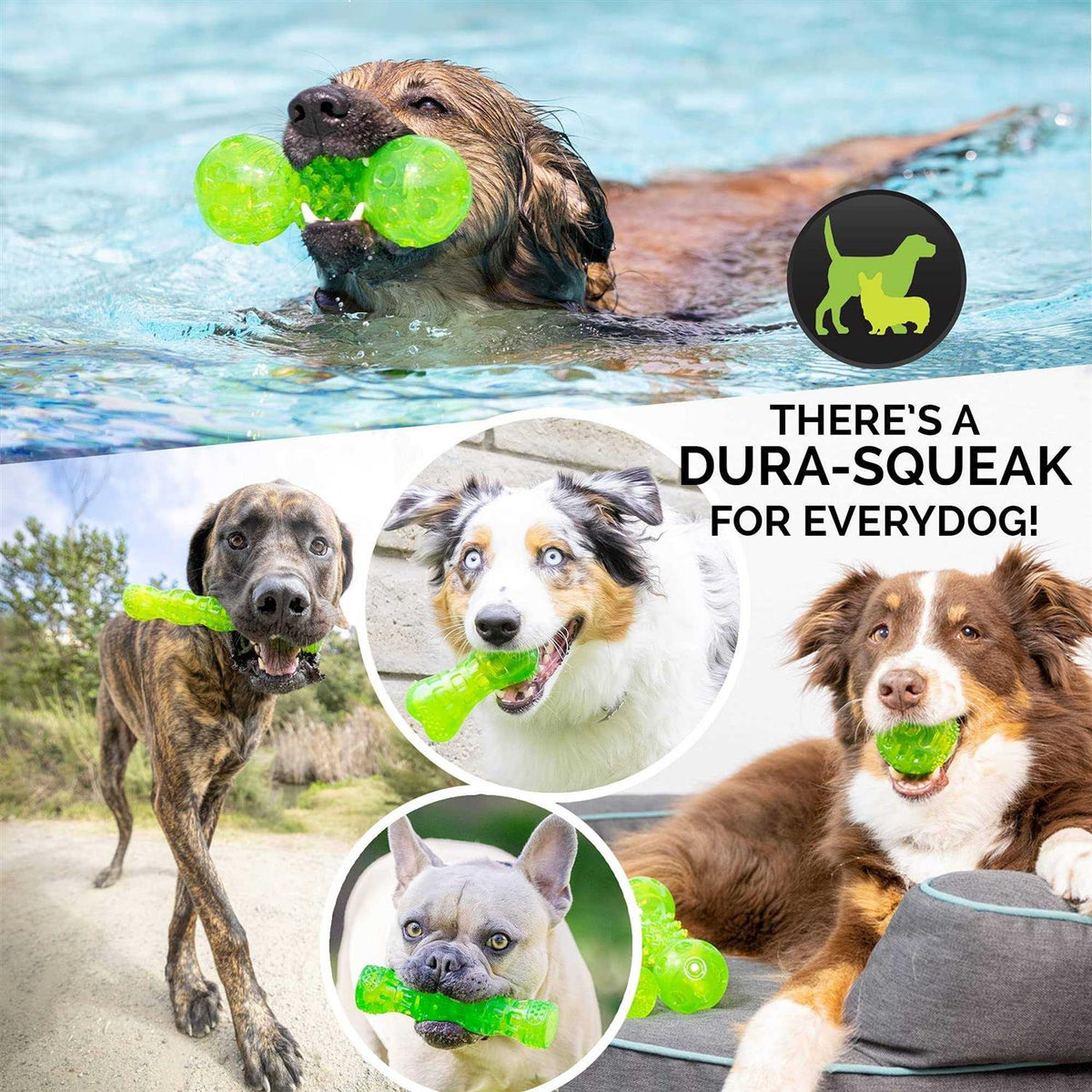 Dog Toy Stick W2394