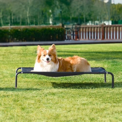 Elevated Dog Cot Bed with Washable Mesh K20130