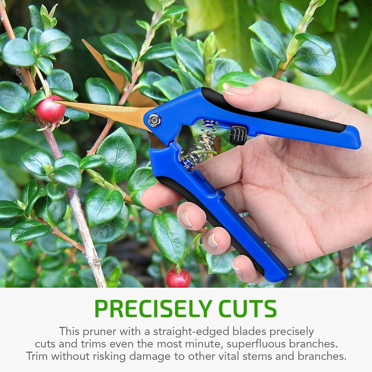 Black & Blue Bud Trimming Tray with Titanium Coated Pruning Shear K33088