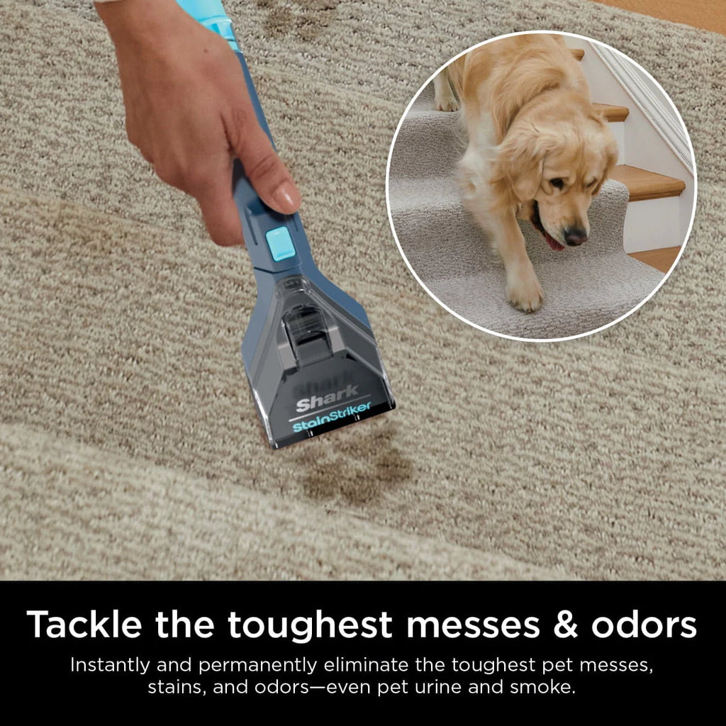 Portable Carpet & Upholstery Cleaner L9740