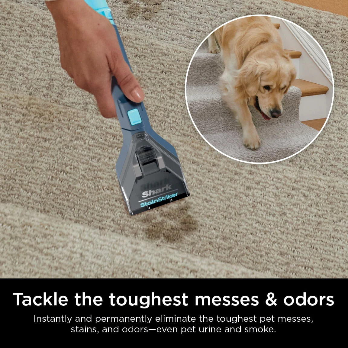 Portable Carpet & Upholstery Cleaner L9740